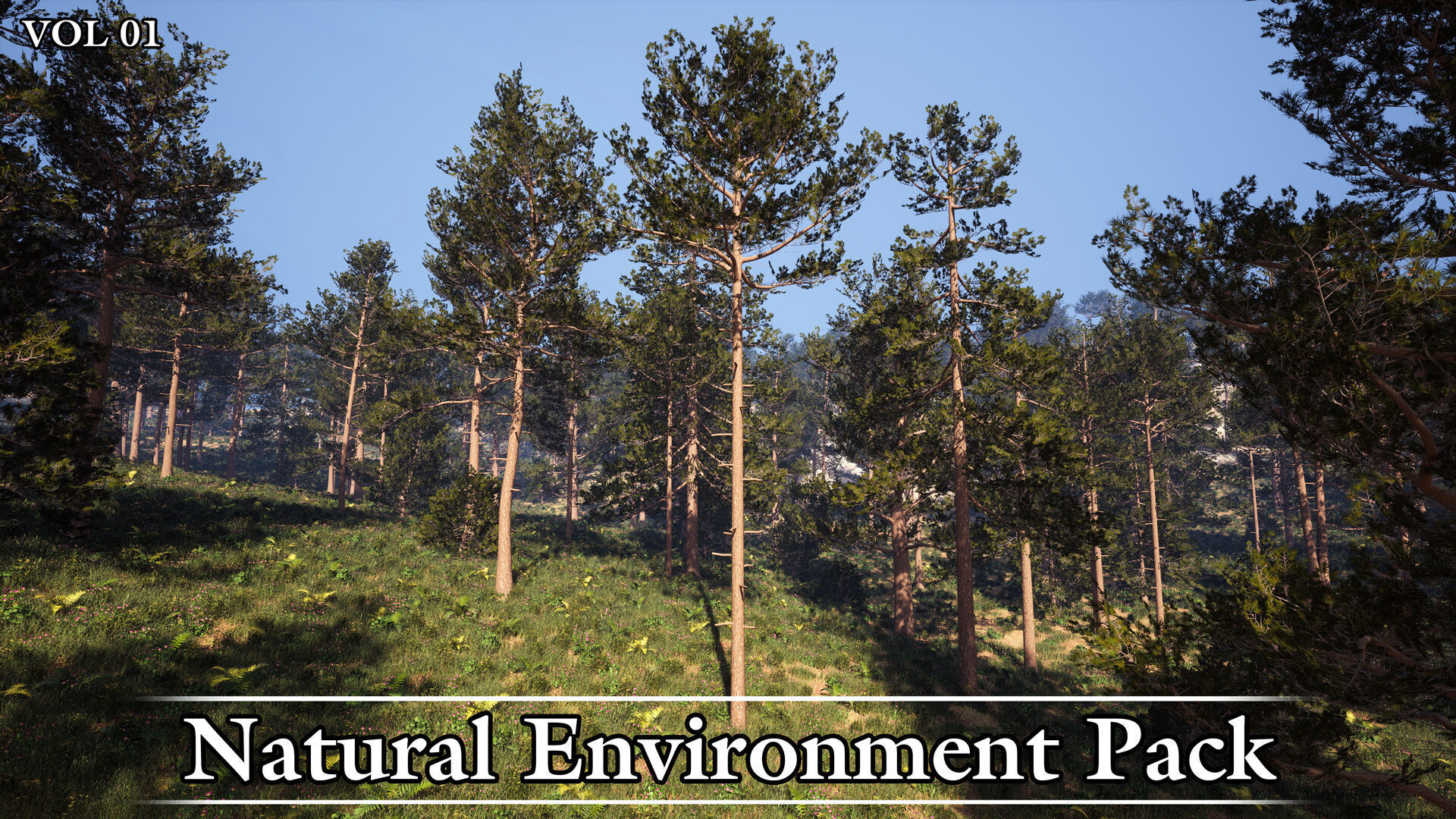 Natural Environment Pack Game Ready VOL01 Low-poly 3D model_3