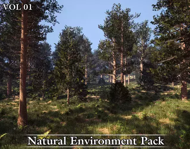 Natural Environment Pack Game Ready VOL01 Low-poly 3D model