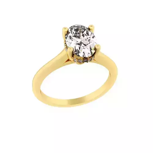 OVAL Cut Hidden Halo Engagement 