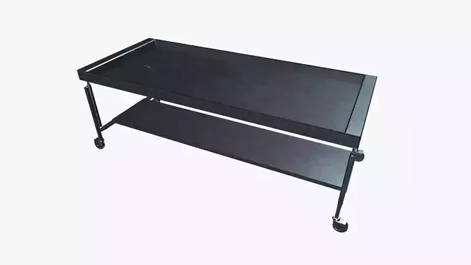 Surgical Table