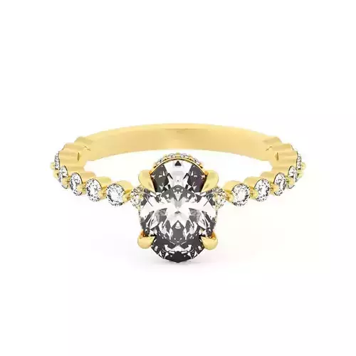 OVEL Cut Hidden Halo Engagement Ring