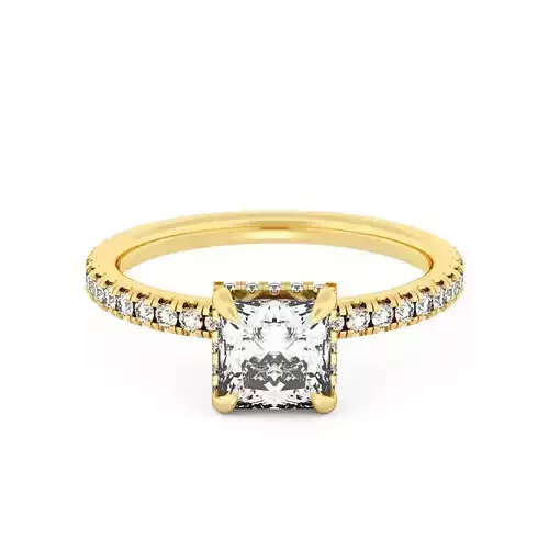 PRINCESS Cut Hidden Halo Engagement Ring