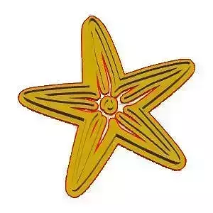 Sea Shell Cookie Cutter