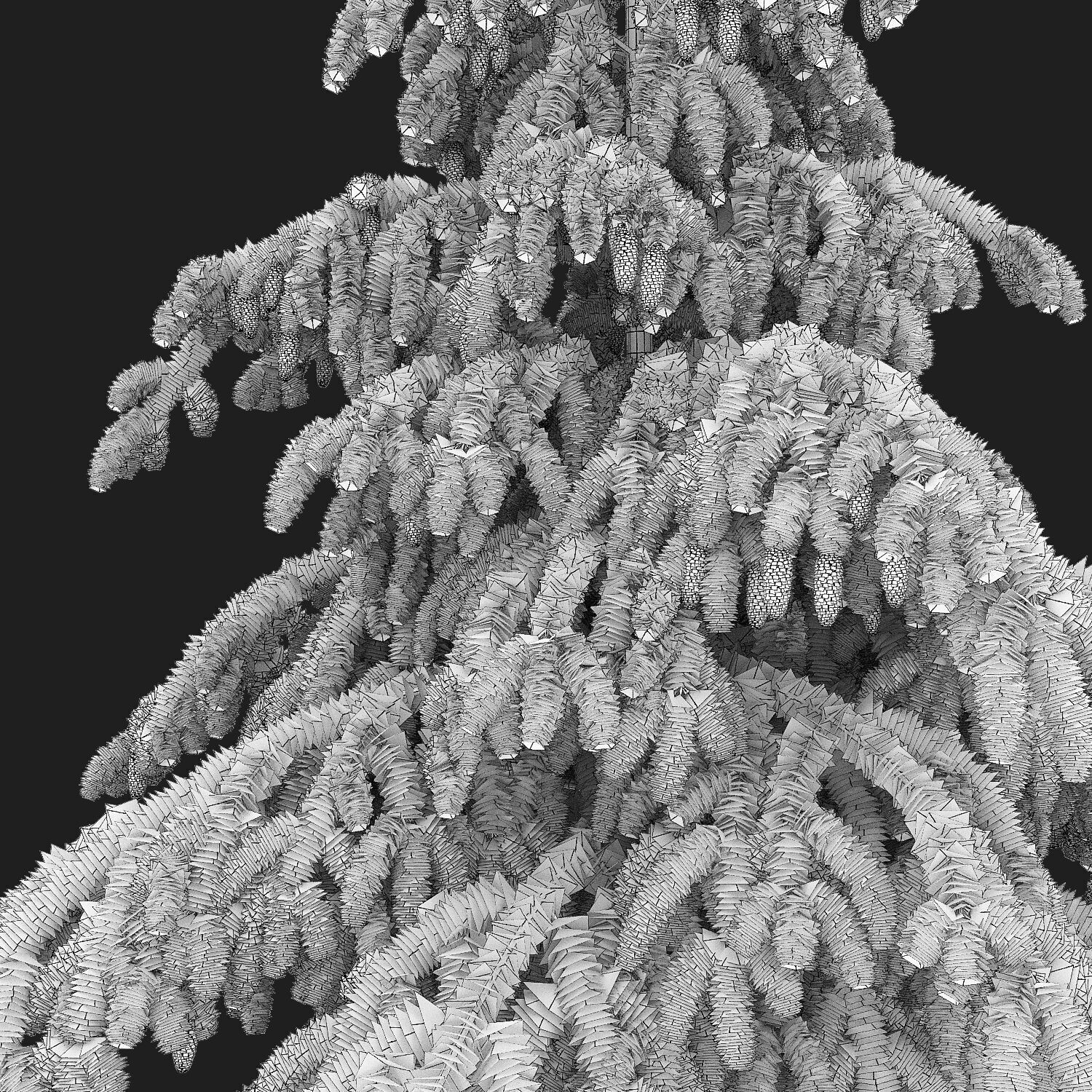 Picea Abies Pendula 1 3D model_4