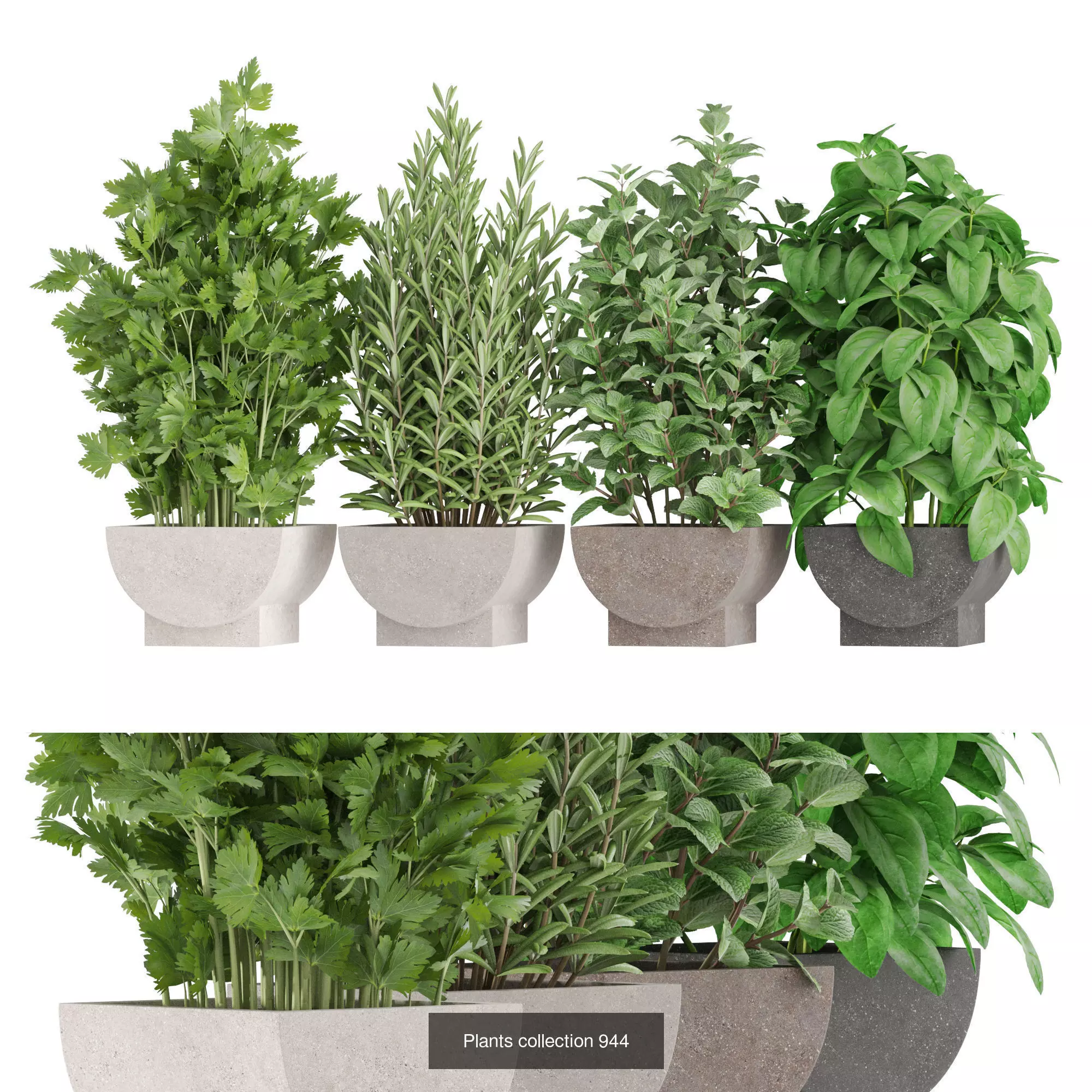 Plants collection vol 26 _2