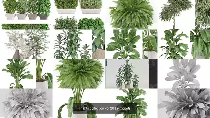 Plants collection vol 26