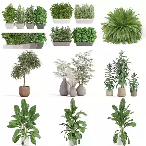 Plants collection vol 26 