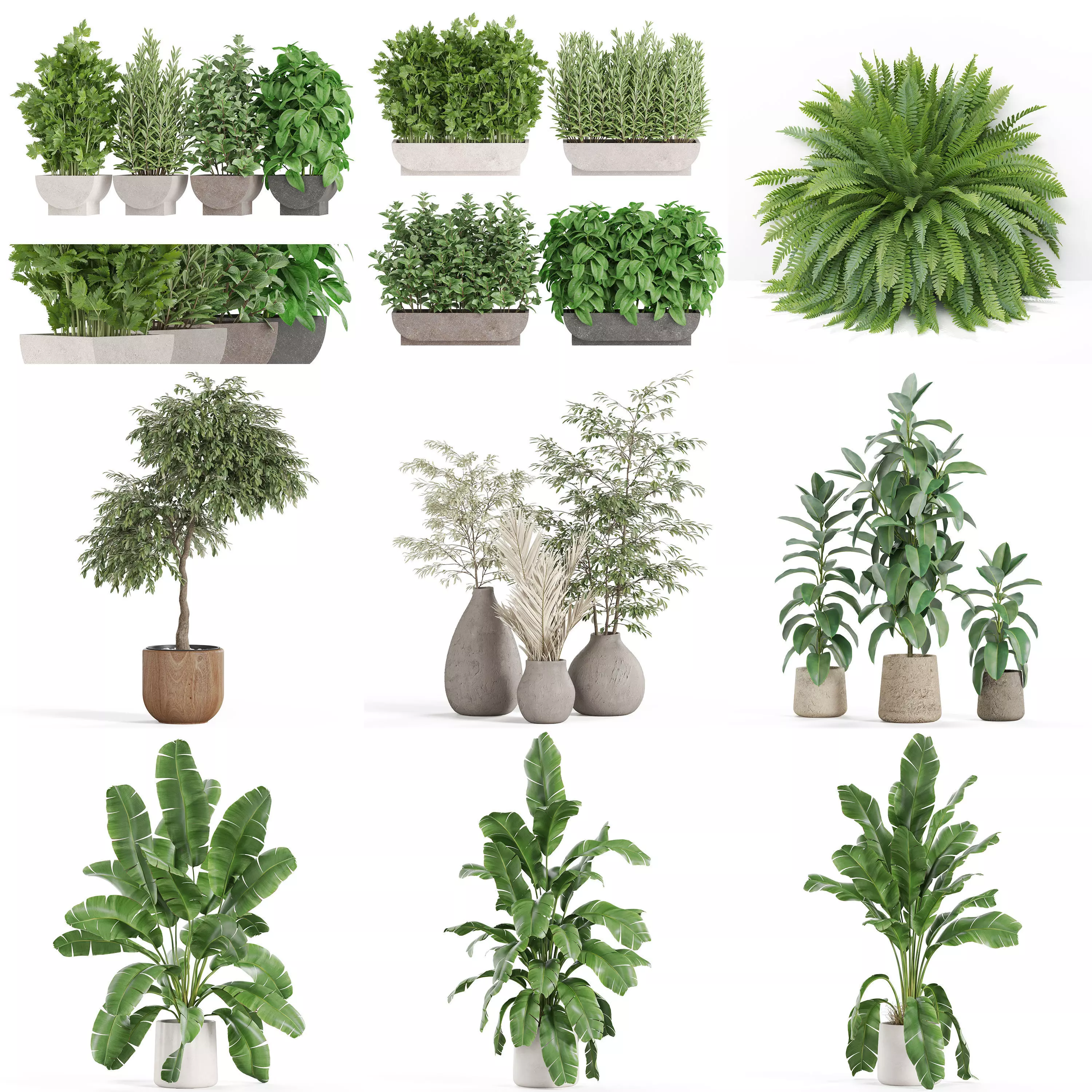 Plants collection vol 26 _0