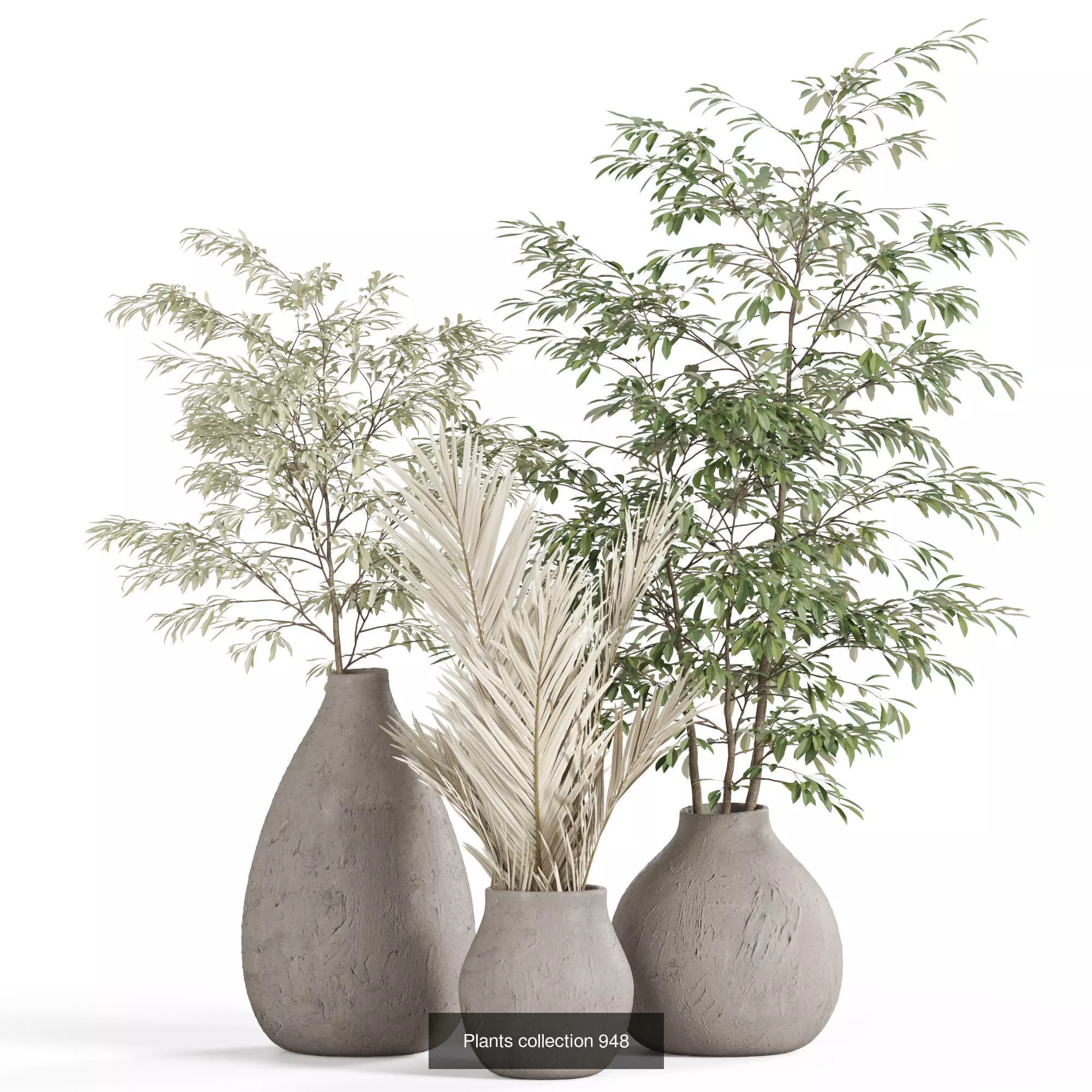 Plants collection vol 26 _6