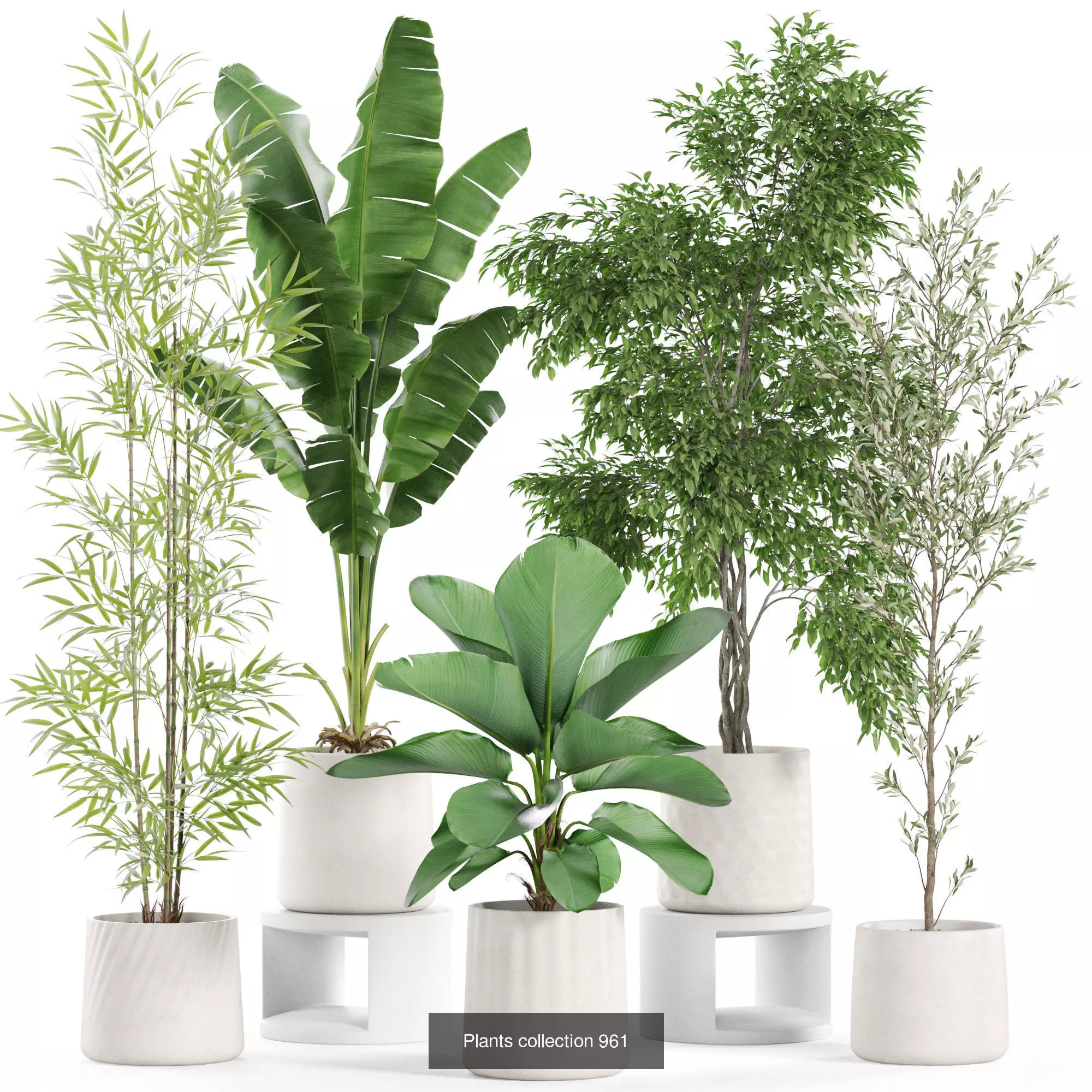 Plants collection vol 27 _9