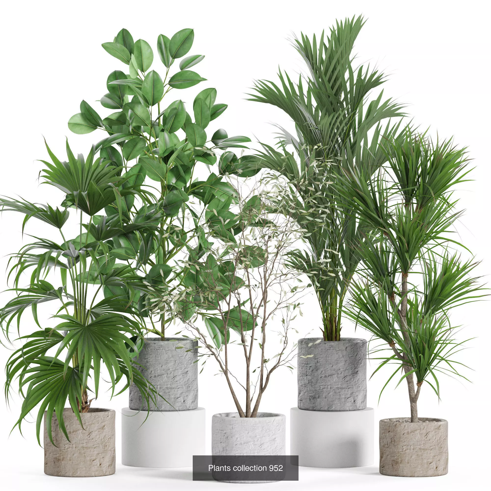 Plants collection vol 27 _4