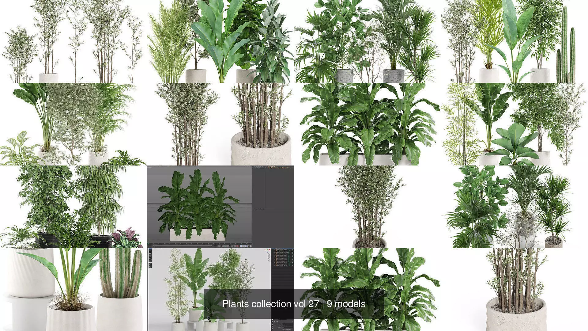 Plants collection vol 27 _1