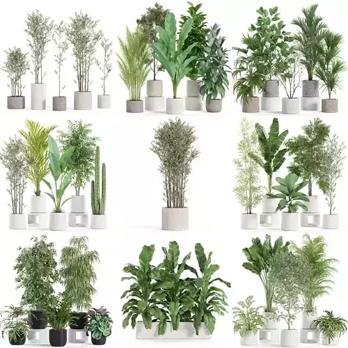 Plants collection vol 27 