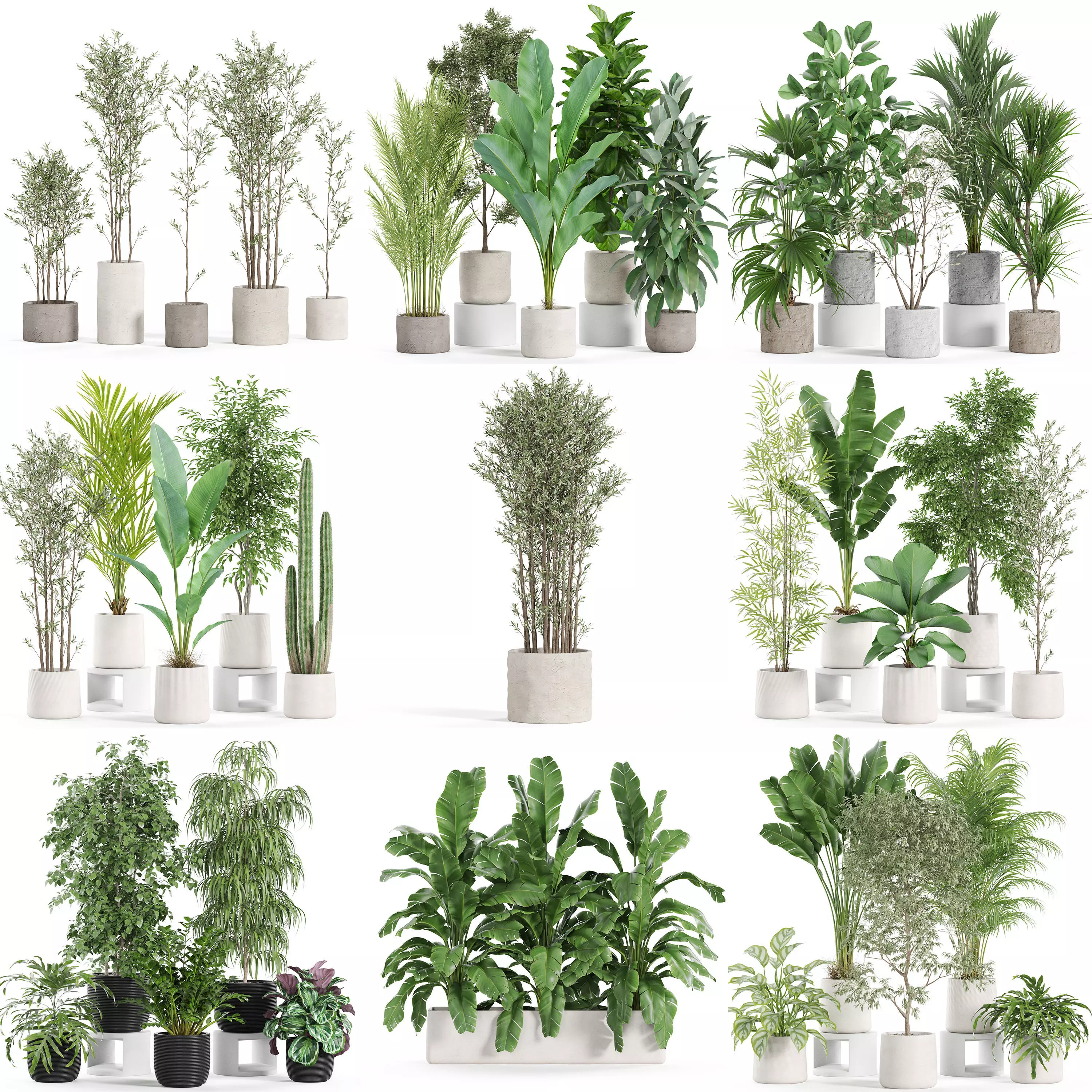 Plants collection vol 27 _0