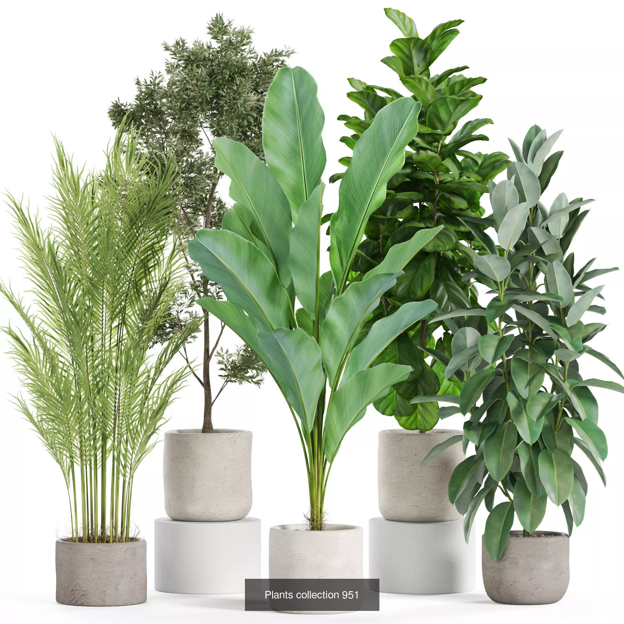 Plants collection vol 27 _3