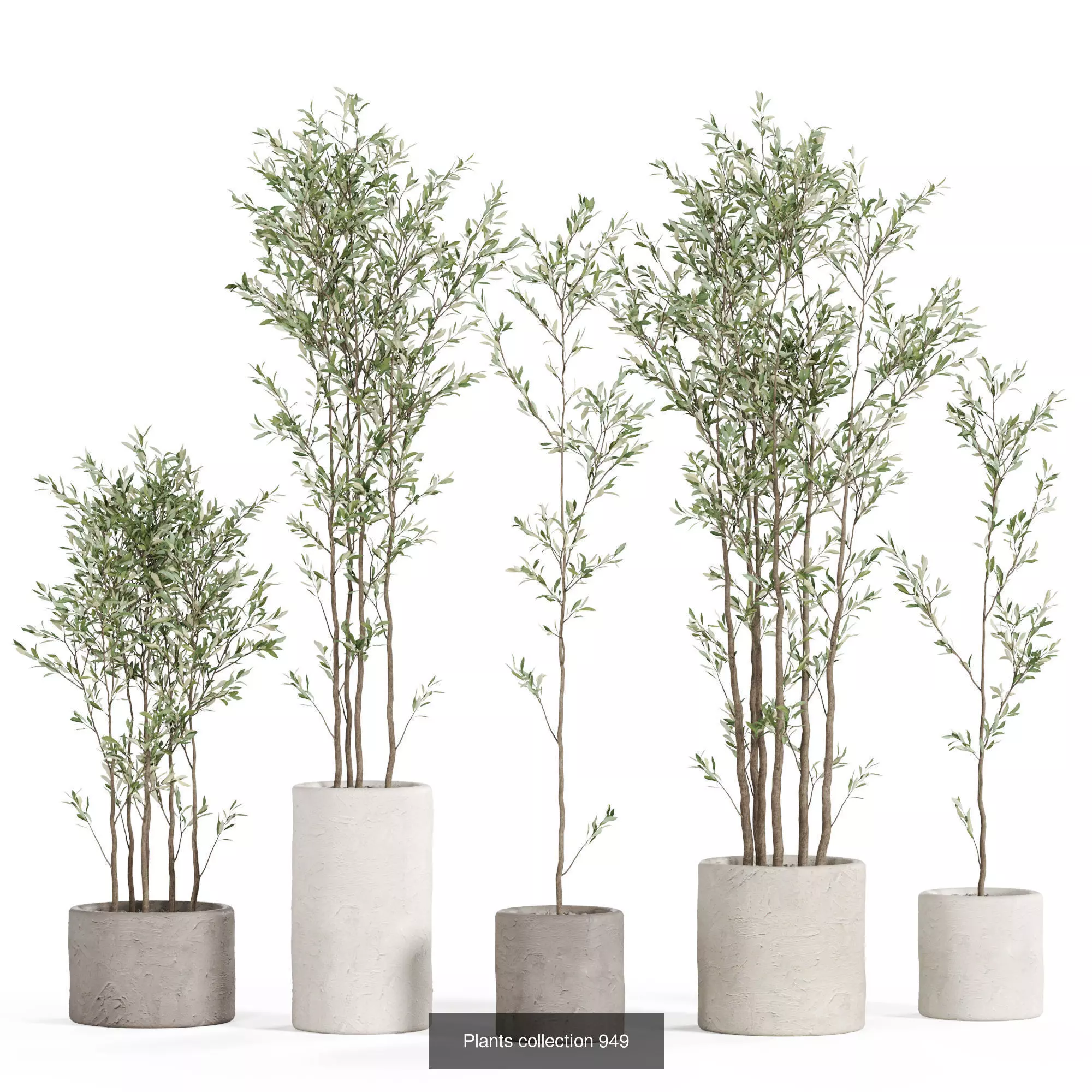 Plants collection vol 27 _2