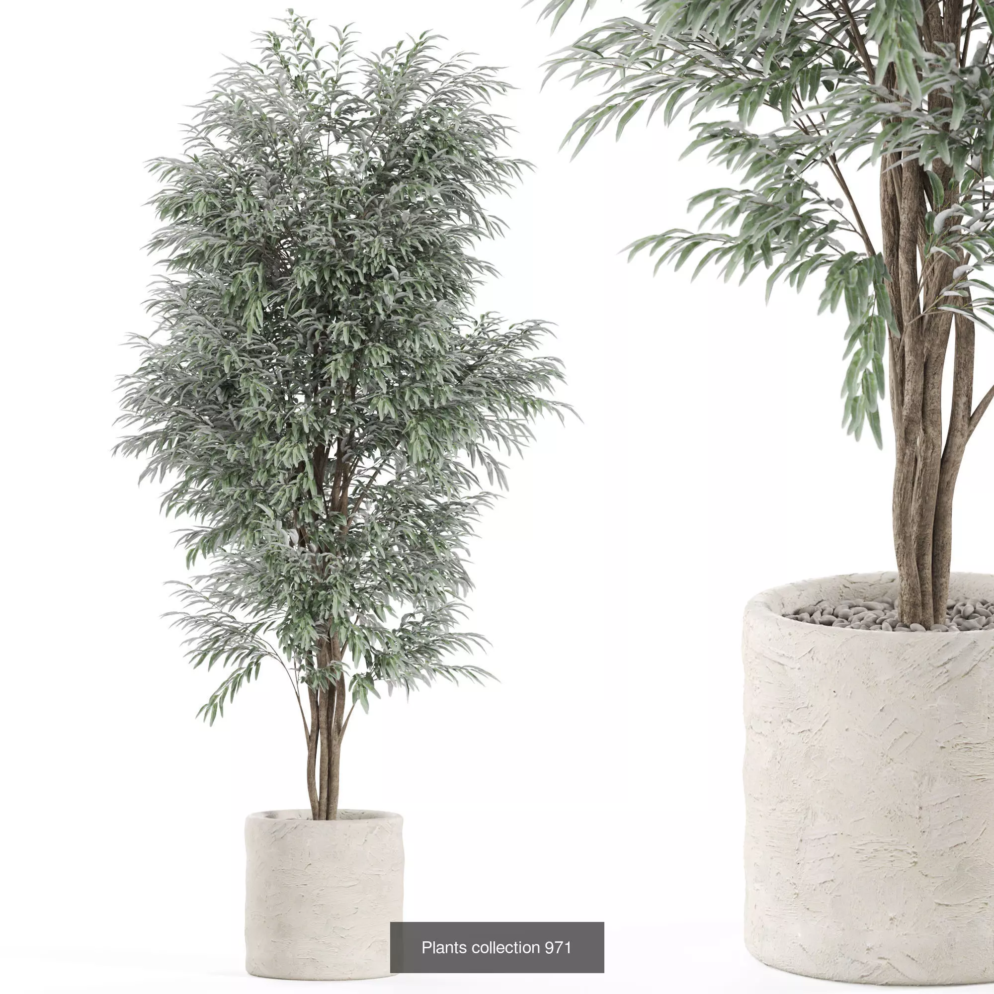 Plants collection vol 28 _9