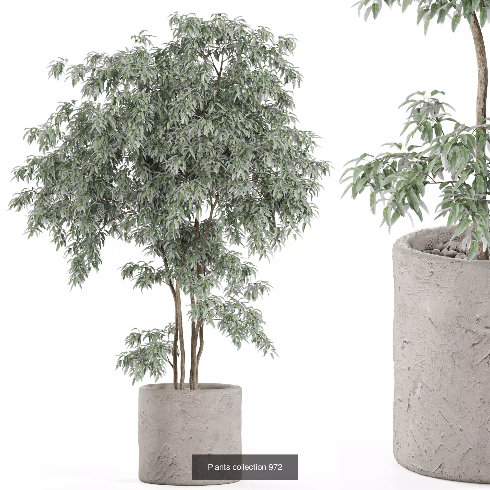 Plants collection vol 28 _10