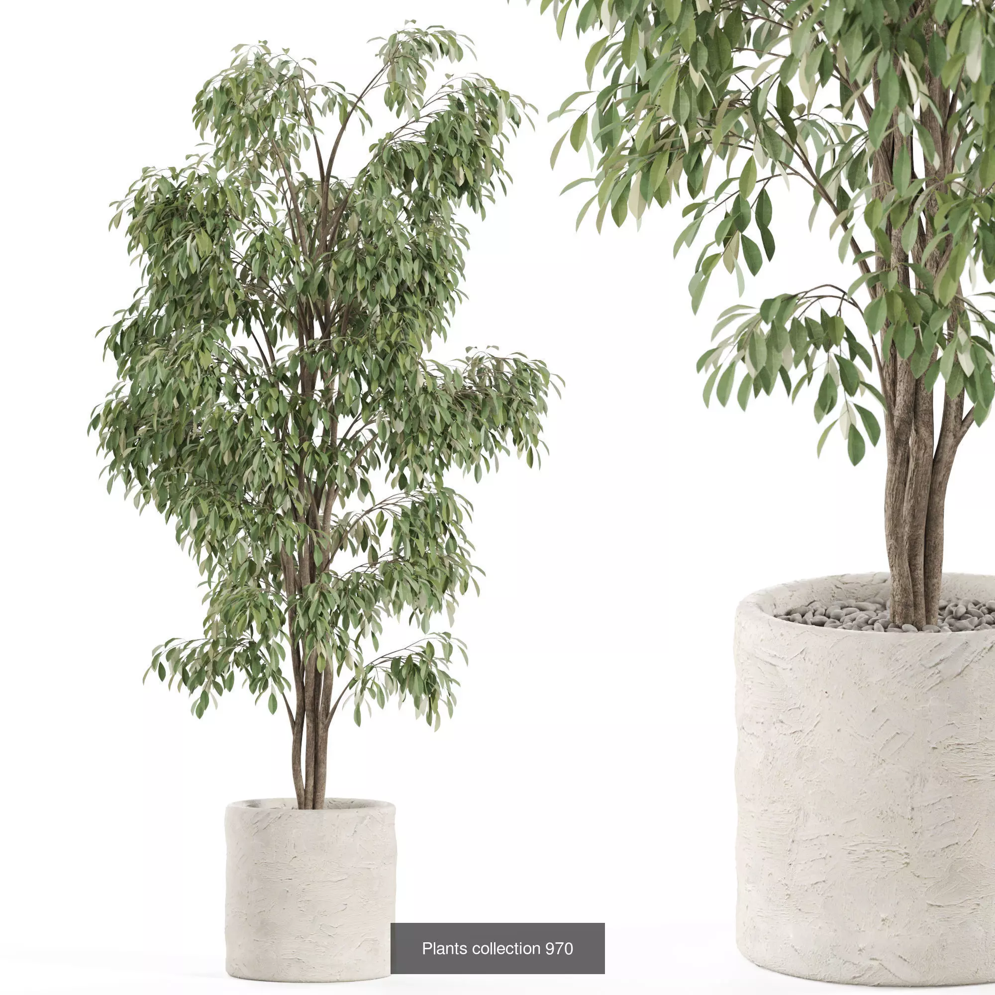 Plants collection vol 28 _8