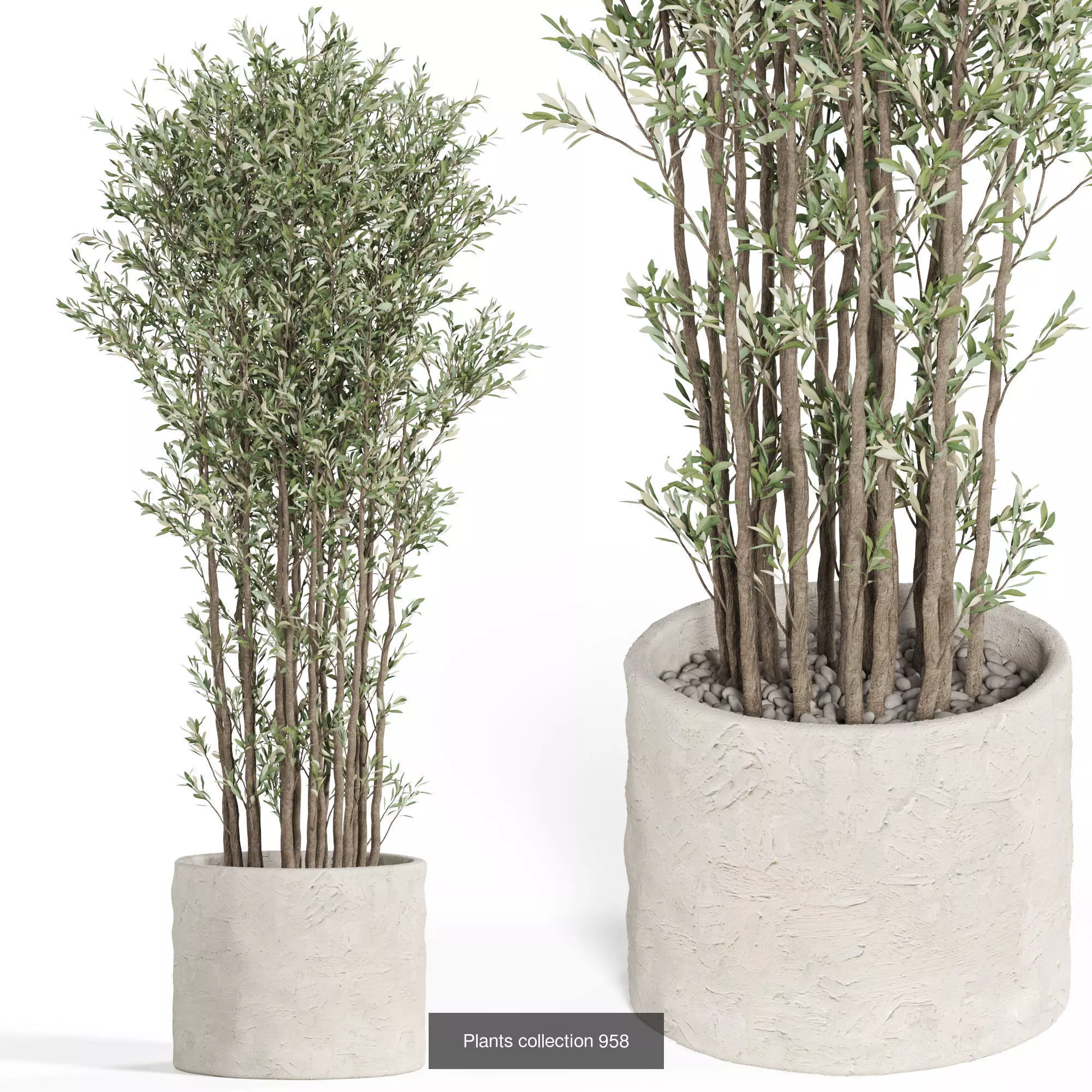 Plants collection vol 28 _2