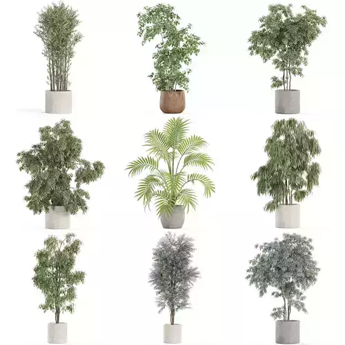 Plants collection vol 28 