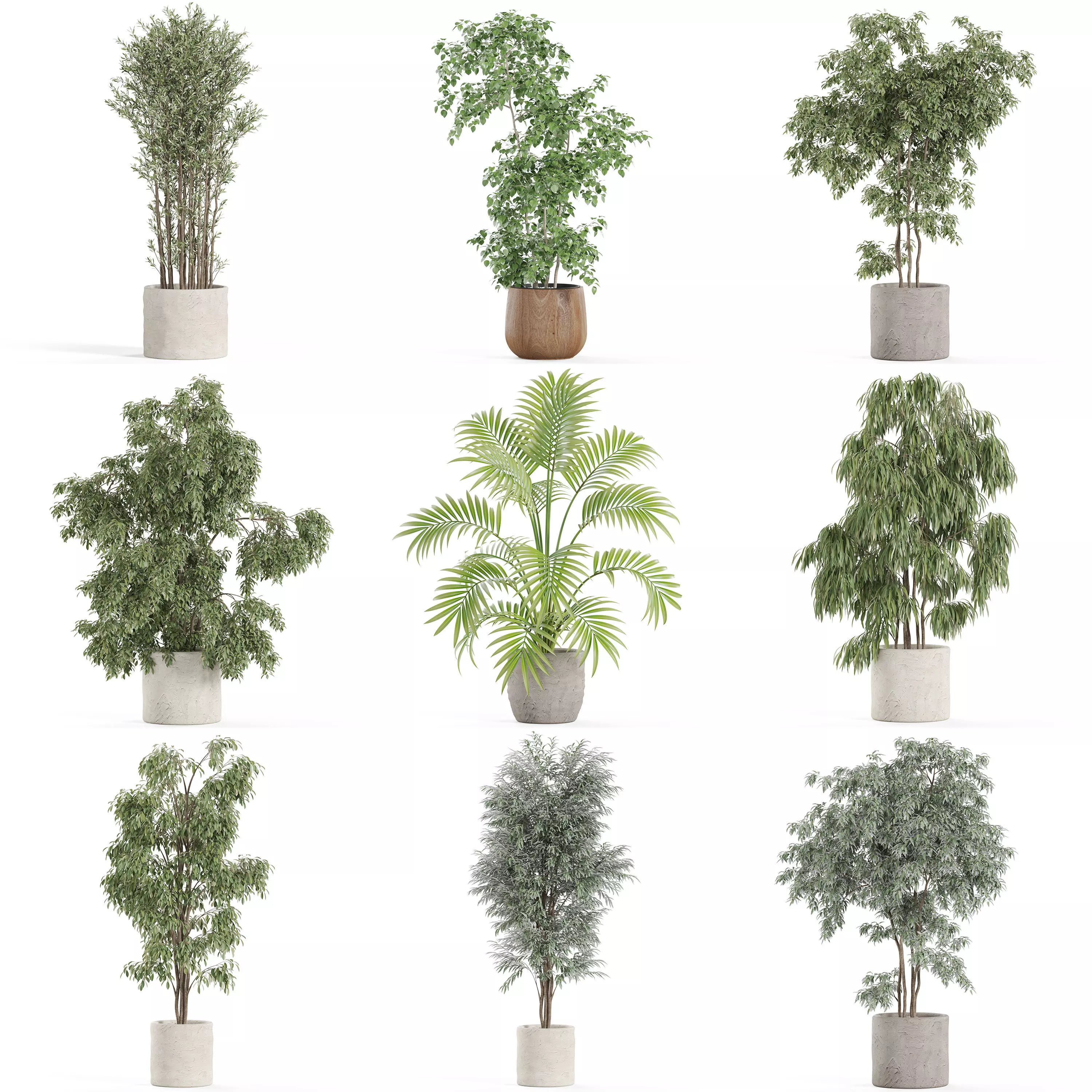 Plants collection vol 28 _0