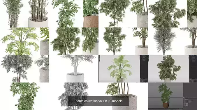 Plants collection vol 28