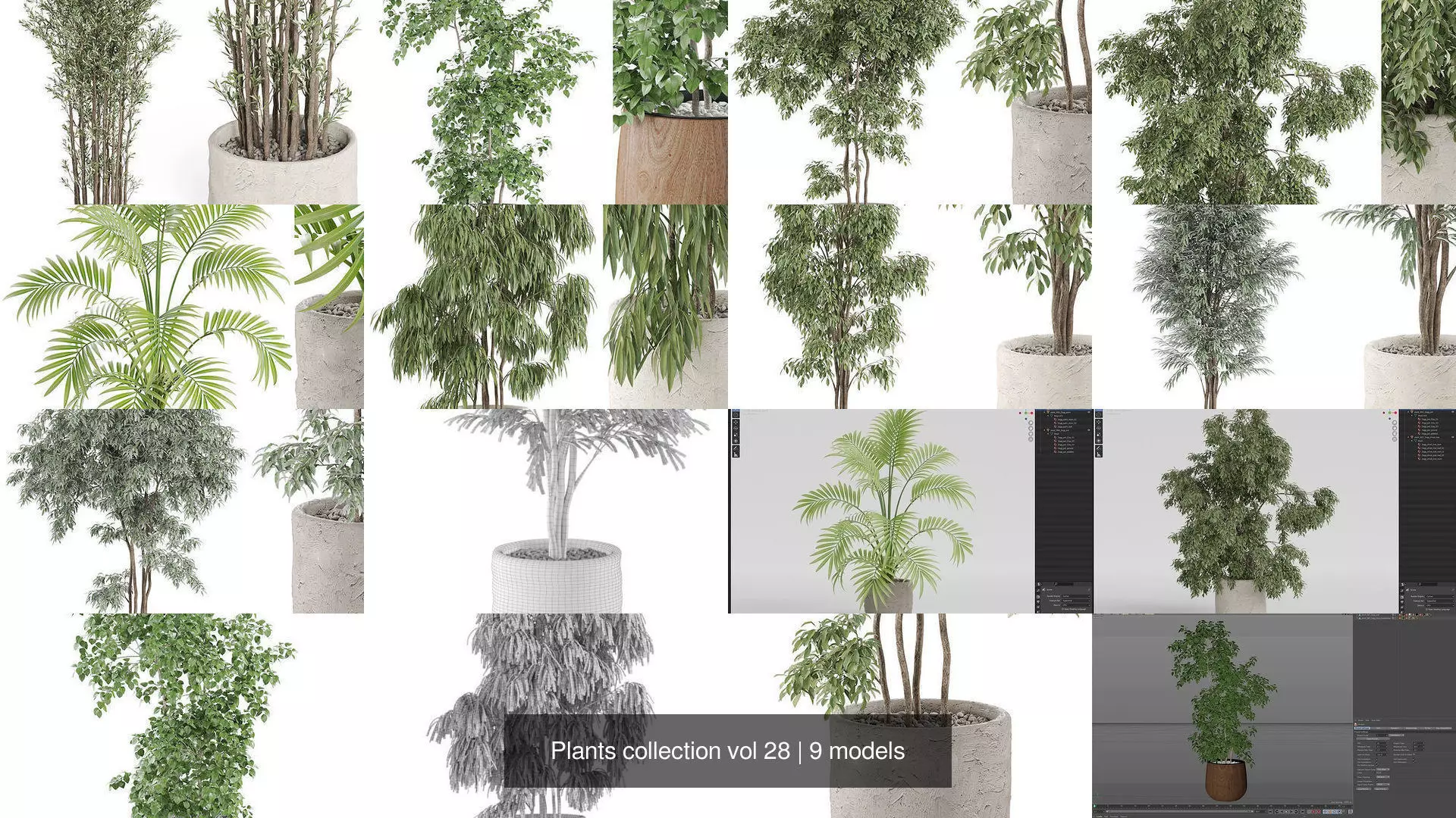 Plants collection vol 28 _1