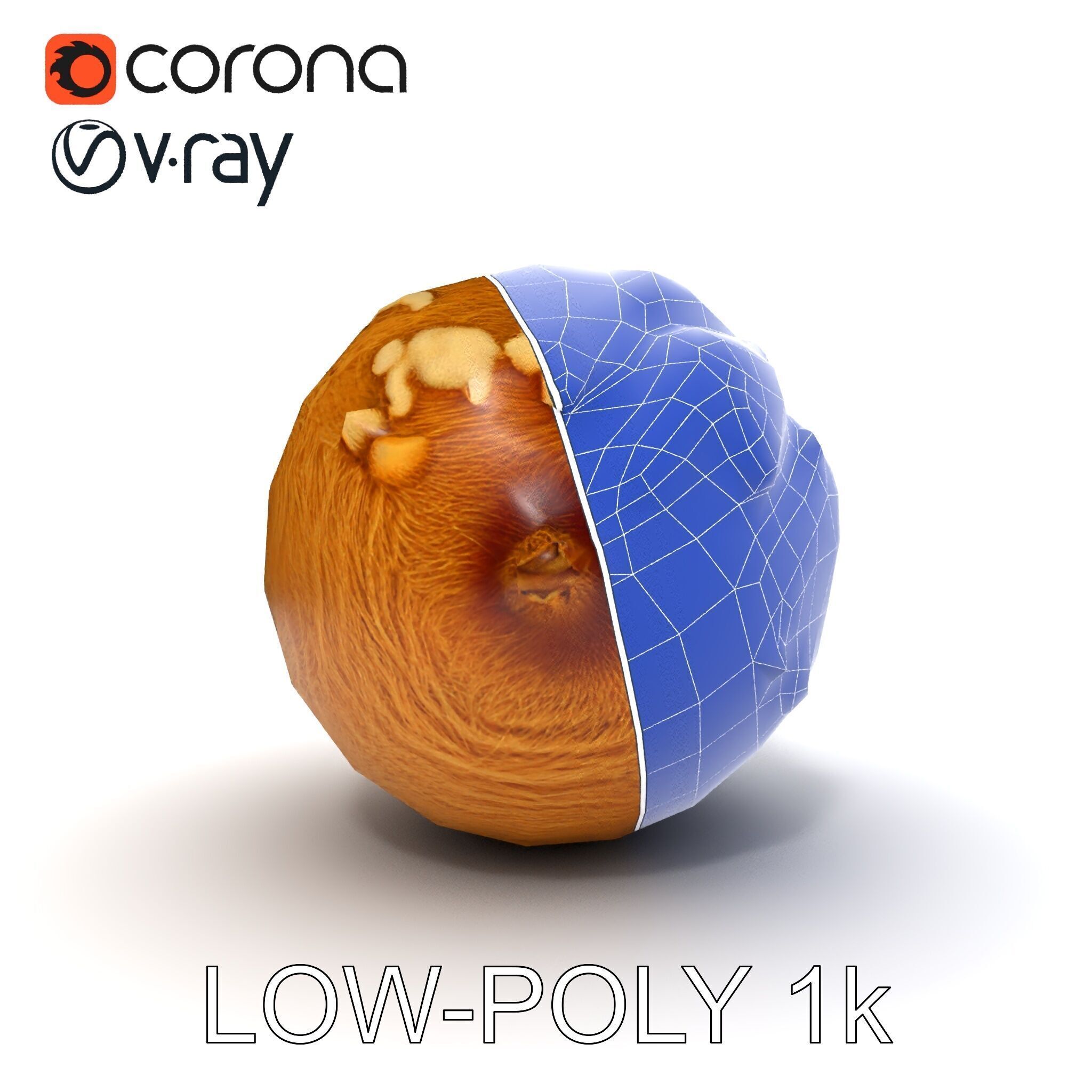 Rotten Kiwi Fruit with Mold Texture Model Pack Low-poly 3D model_27