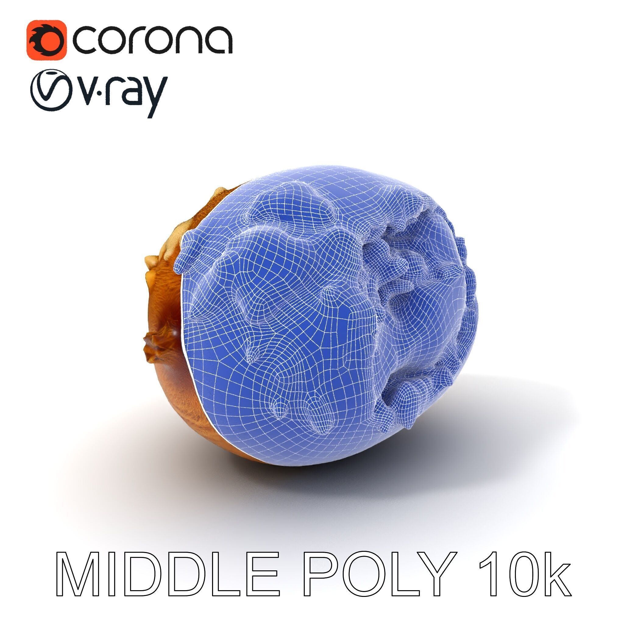 Rotten Kiwi Fruit with Mold Texture Model Pack Low-poly 3D model_9