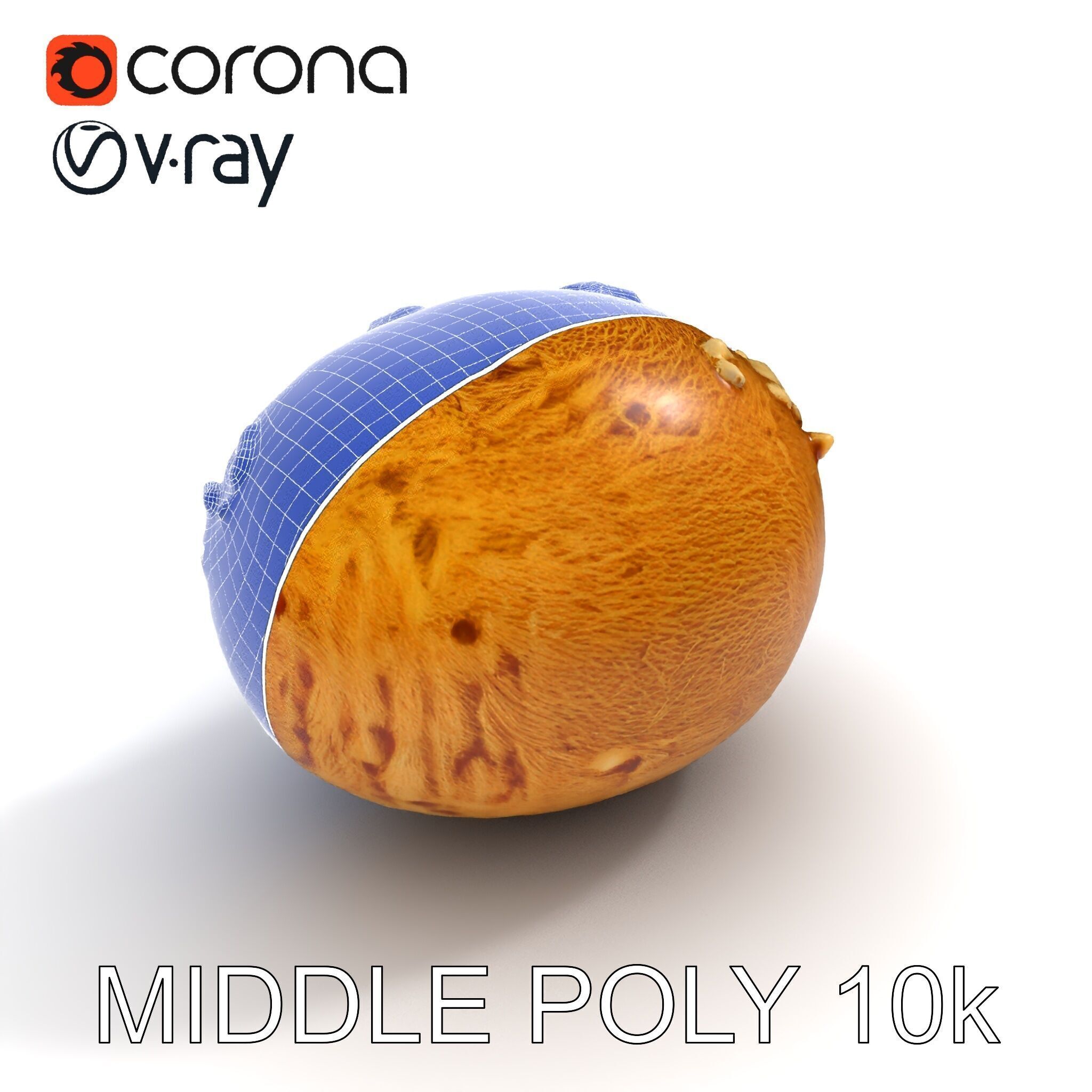 Rotten Kiwi Fruit with Mold Texture Model Pack Low-poly 3D model_20