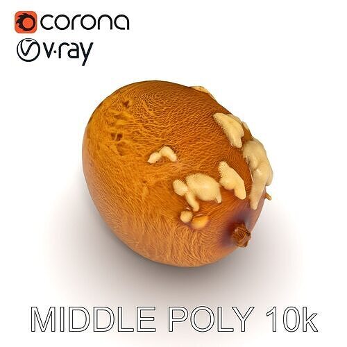 Rotten Kiwi Fruit with Mold Texture Model Pack Low-poly 3D model 6