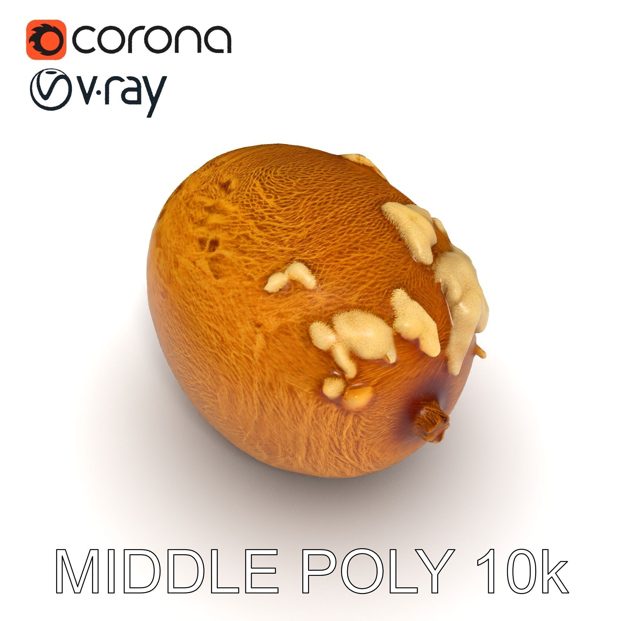 Rotten Kiwi Fruit with Mold Texture Model Pack Low-poly 3D model_6