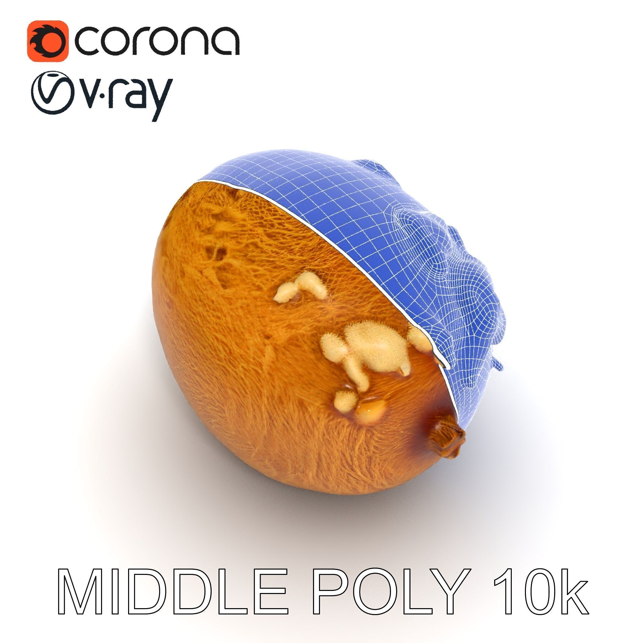 Rotten Kiwi Fruit with Mold Texture Model Pack Low-poly 3D model_29