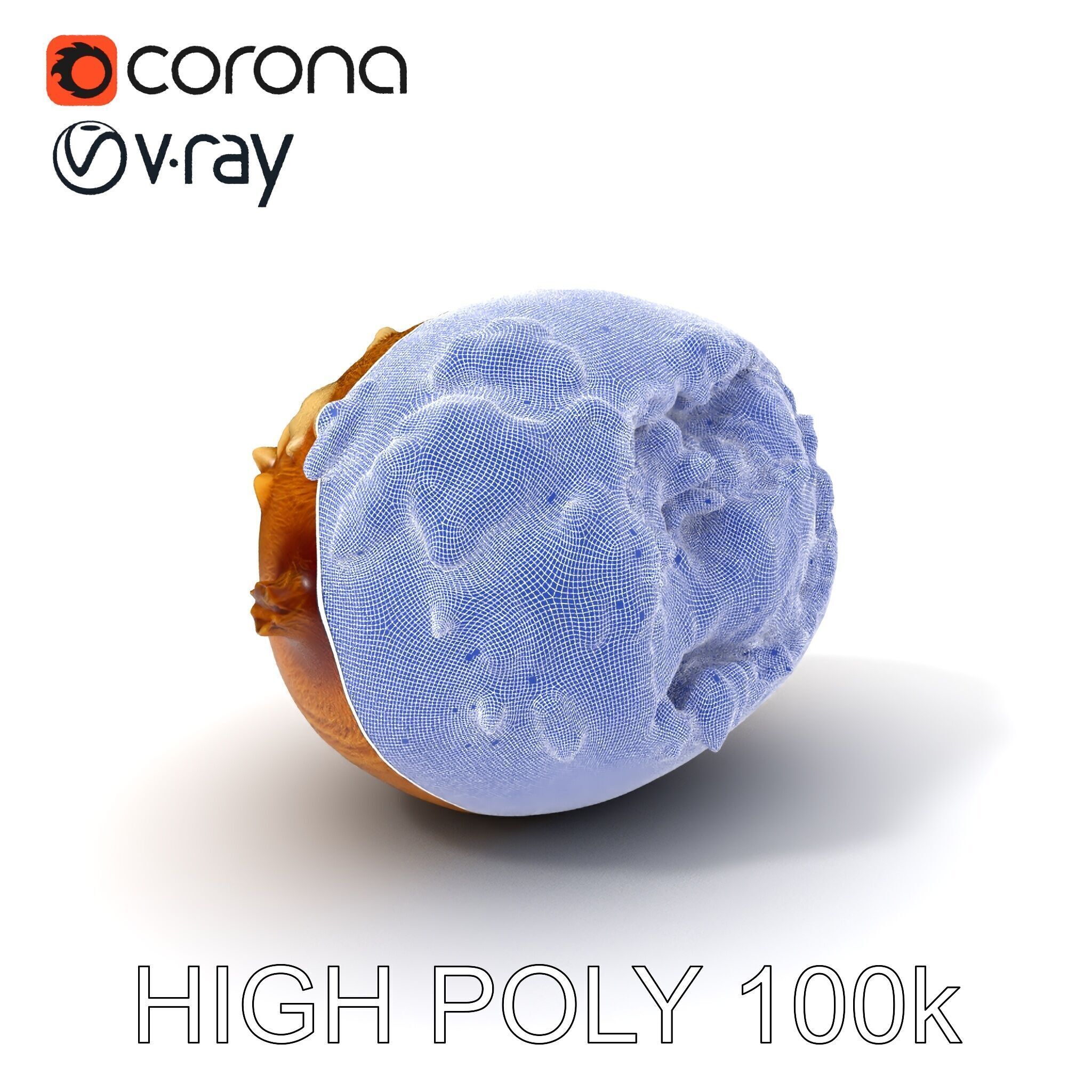 Rotten Kiwi Fruit with Mold Texture Model Pack Low-poly 3D model_4