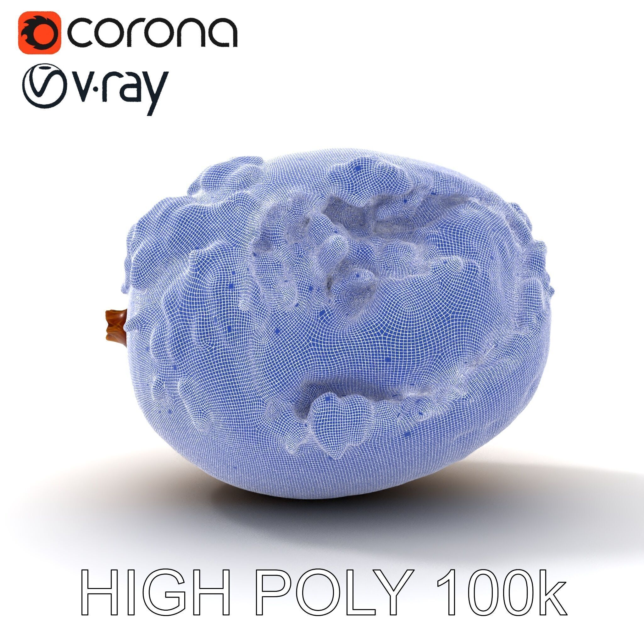 Rotten Kiwi Fruit with Mold Texture Model Pack Low-poly 3D model_28