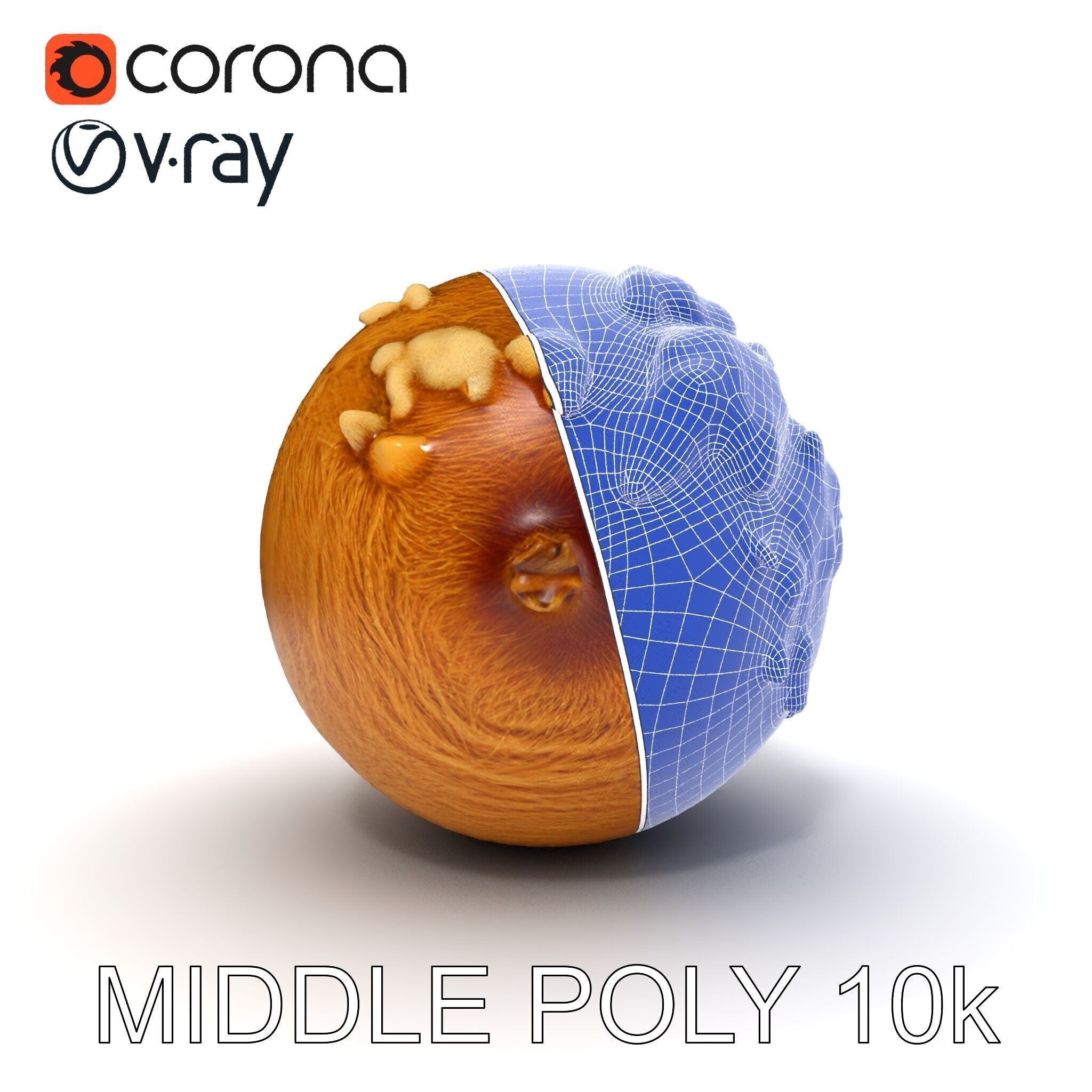 Rotten Kiwi Fruit with Mold Texture Model Pack Low-poly 3D model_16
