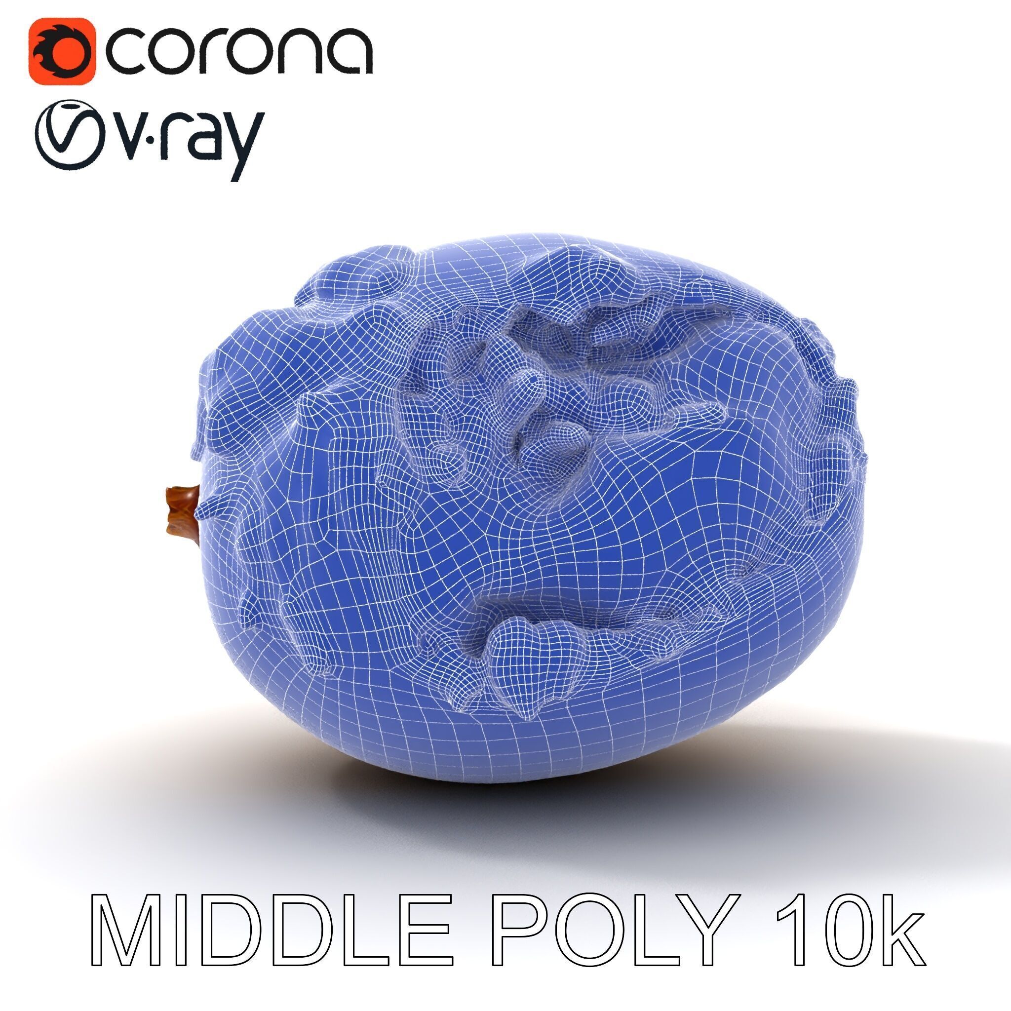 Rotten Kiwi Fruit with Mold Texture Model Pack Low-poly 3D model_23