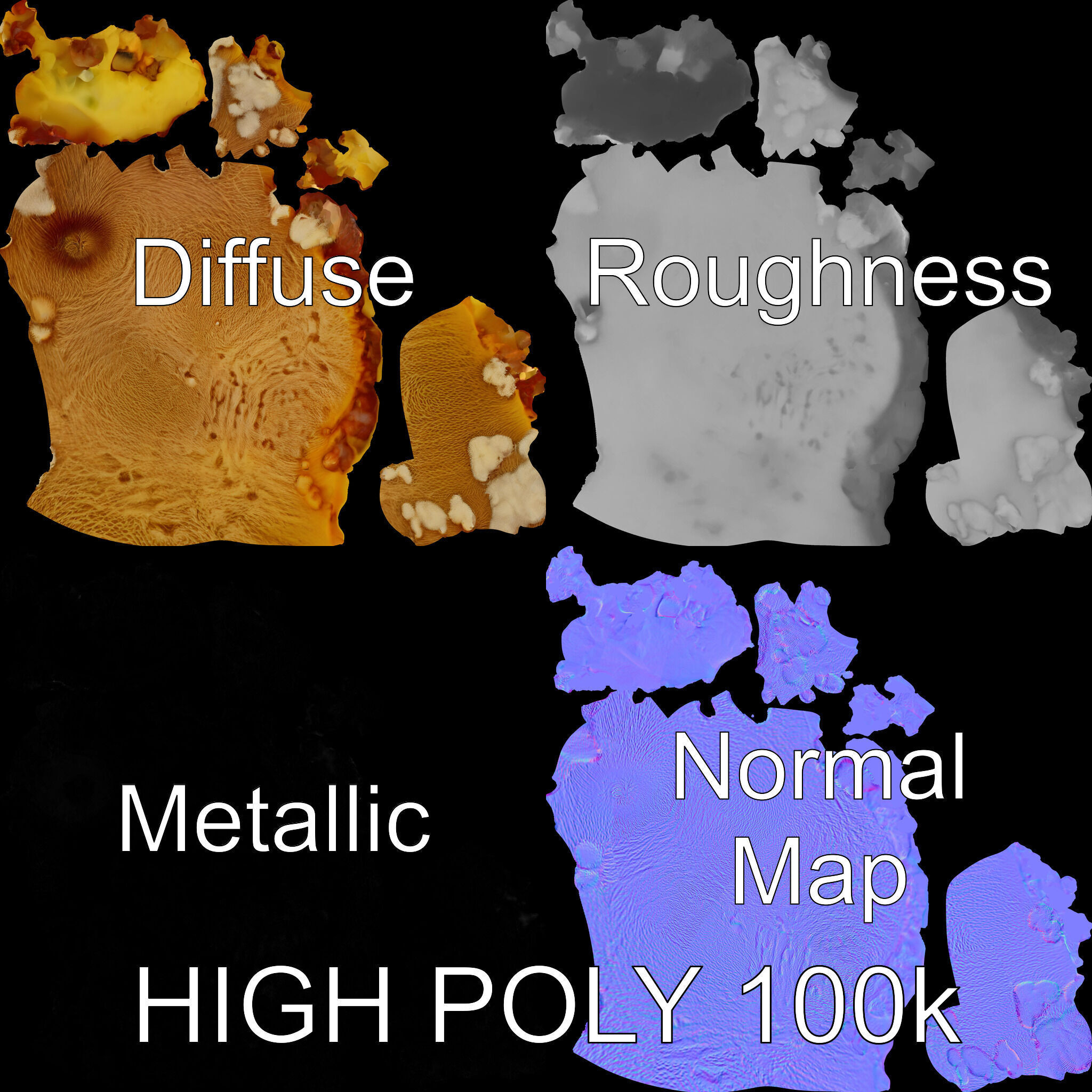 Rotten Kiwi Fruit with Mold Texture Model Pack Low-poly 3D model_2