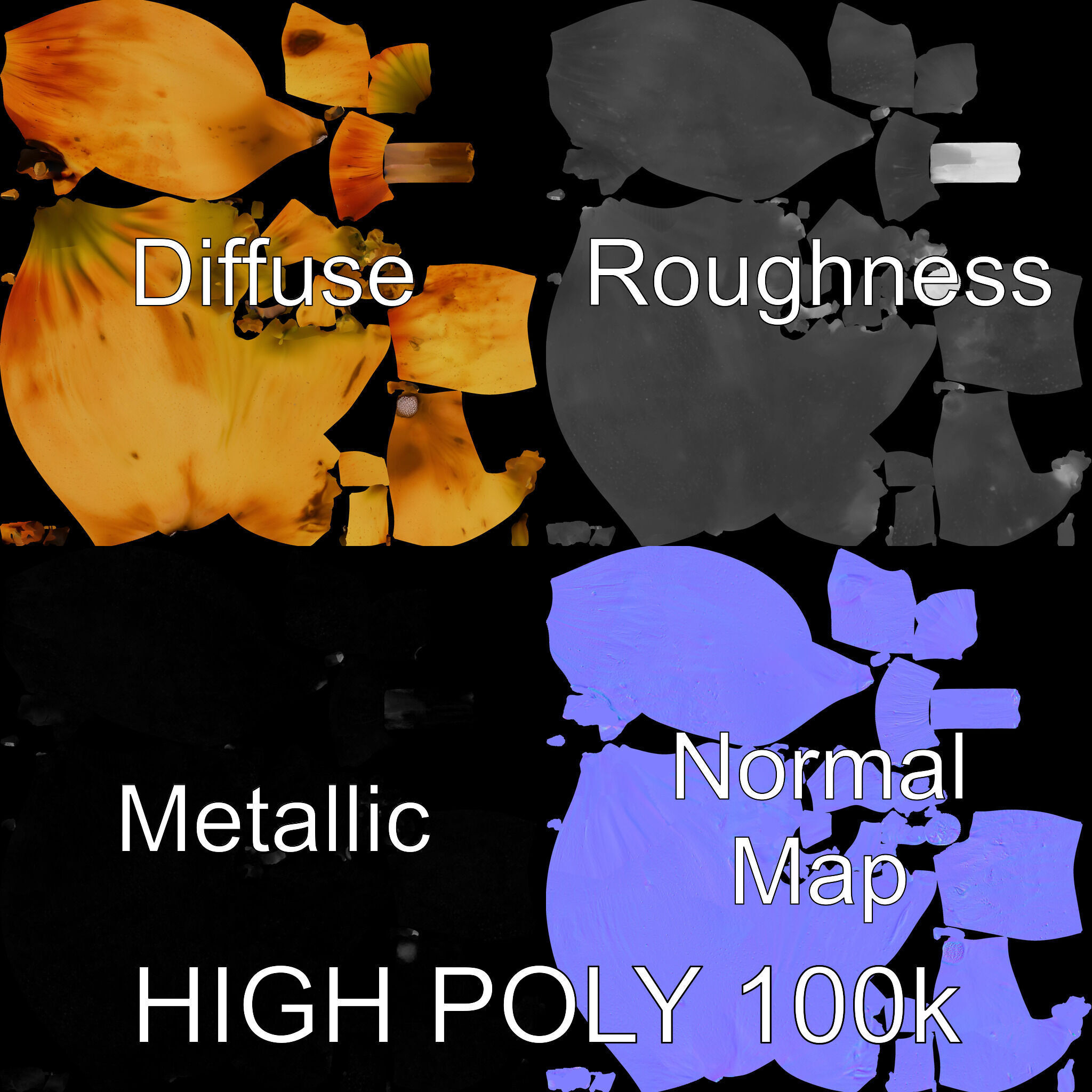 Realistic Bruised Apple D Model Pack Low-poly 3D model_2