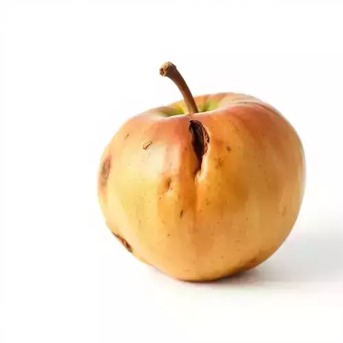 Realistic Bruised Apple D Model Pack