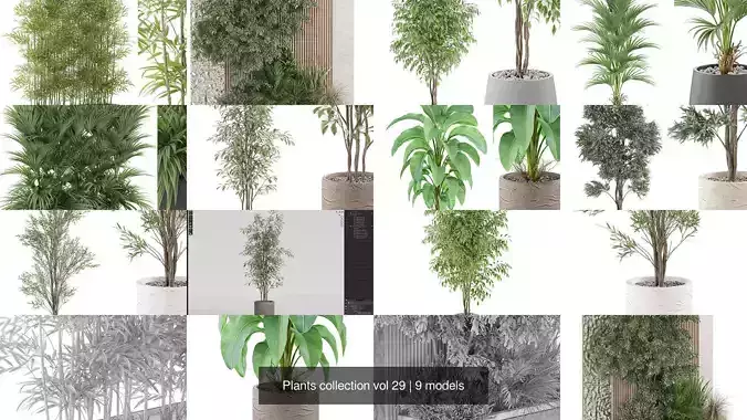 Plants collection vol 29