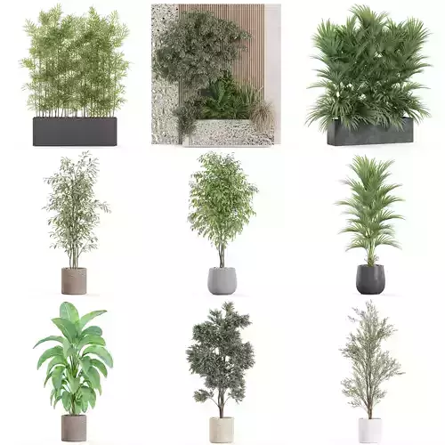 Plants collection vol 29 