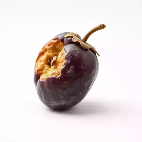 Realistic Decayed Apple Model Pack