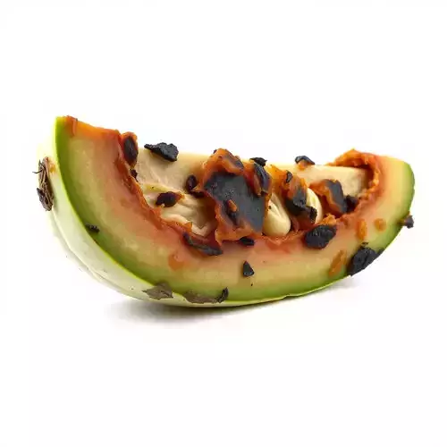 Burnt Vegetable Slice Model Pack