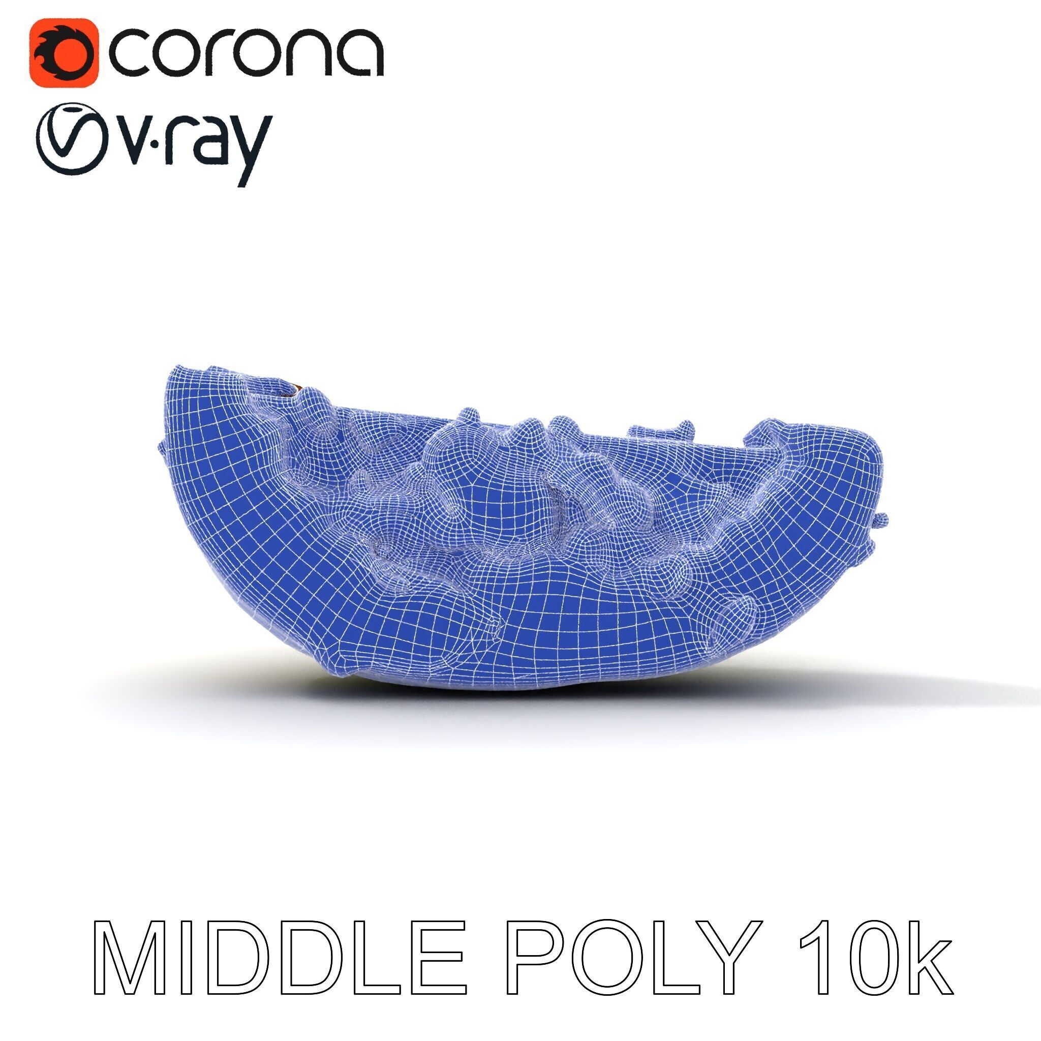 Burnt Vegetable Slice Model Pack Low-poly 3D model_13