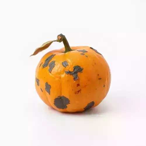Speckled Pumpkin Model Pack for Game and Animation