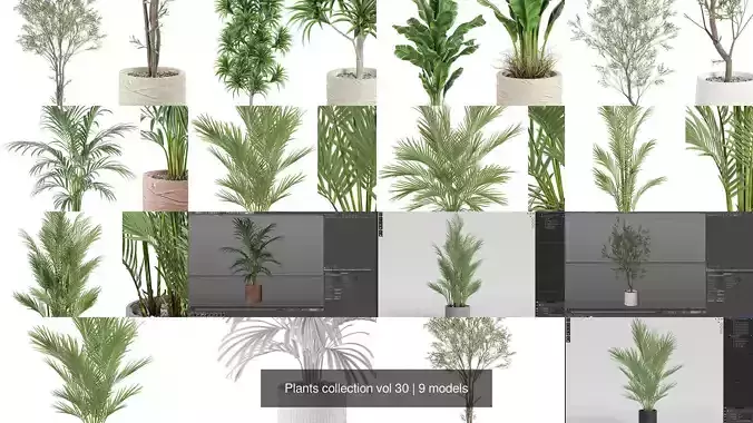Plants collection vol 30