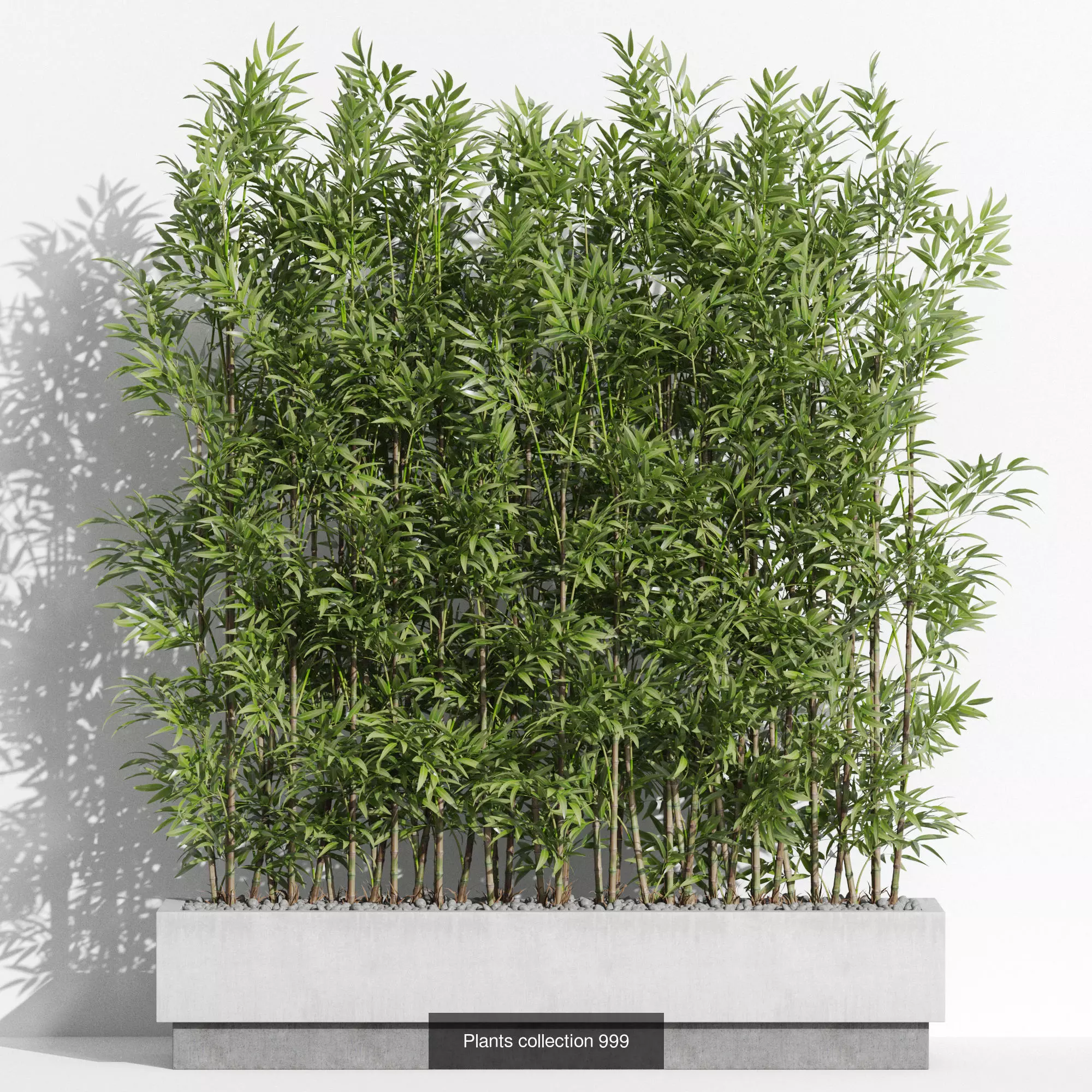 Plants collection vol 31 _8