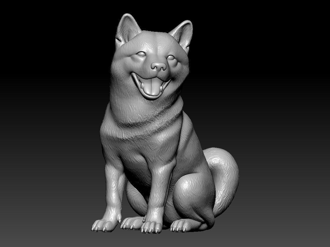Shiba Inu model - Japanese small dog breed - 3D print 3D print model_2